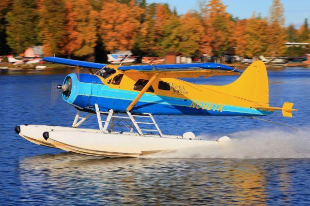 De Havilland Canada DHC-2 Mk1 Beaver (N698TK)