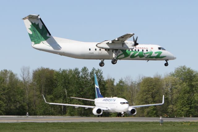 Boeing 737-700 (C-FWAI) - May 18, 2009 - Jazz DH8C arrived at London Airport while Westjet waited for departure 