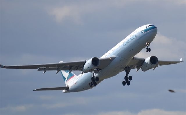 Airbus A330-300 (B-HLW) - Getting airborne from runway 23 accompanied by a feathered friend.