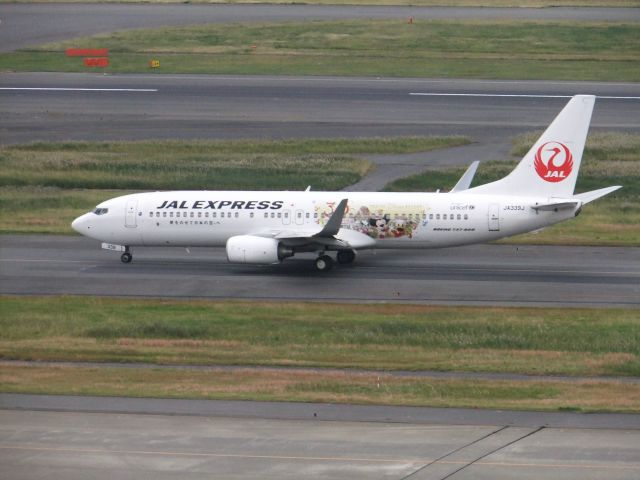 Boeing 737-800 (JA339J)