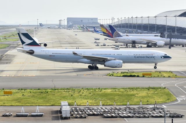 Airbus A330-300 (B-LAO)