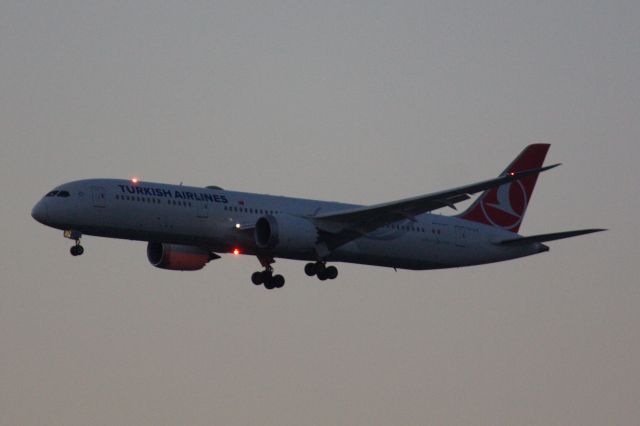 Boeing 787-9 Dreamliner (TC-LLB) - Turkish B789 arriving to BOS at dusk on 10/19/22. 