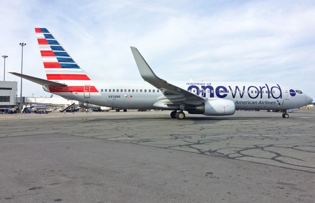 Boeing 737-800 (N838NN) - American Airlines  OneWorld Special Livery B737-800