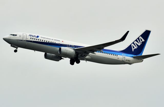 Boeing 737-800 (JA75AN)