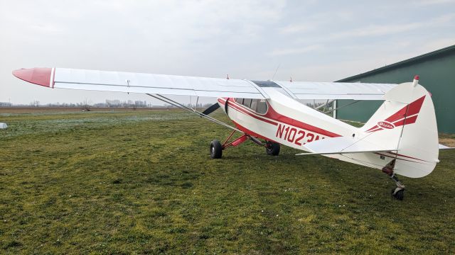 Piper L-21 Super Cub (N1023N)
