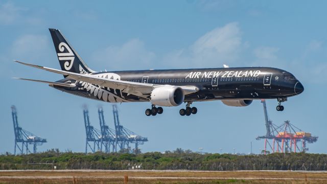 Boeing 787-8 (ZK-NZE) - Acacia Street Viewing Area - Brisbane Airport - Flight ANZ145 arriving on Runway 19L - 01/09/2020