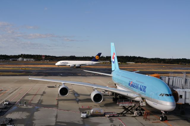 Airbus A380-800 (HL7615) - 2012/11/18