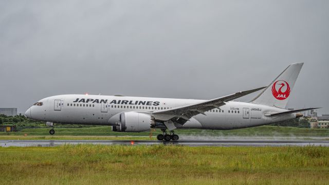 Boeing 787-8 (JA846J)