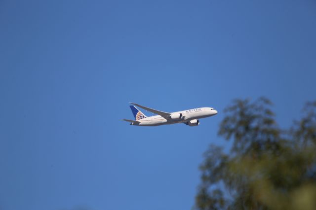 Boeing 787-8 (N45905)