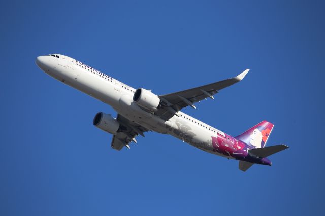 Airbus A321neo (N205HA)