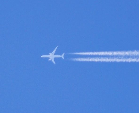 Boeing 787-8 (N438AM) - Flying from JFK-MEX over Simpsonville, SC