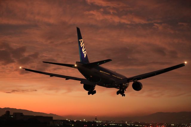 Boeing 777-200 (JA710A) - November 24th 2019:HND-ITM.