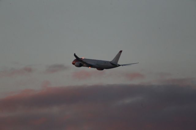 Boeing 787-8 (LN-LNC)