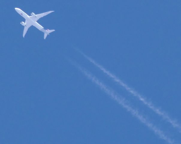Boeing 787-9 Dreamliner (CC-BGN) - CC-BGN | LAN750 | SCL(SANTIAGO DO CHILE)>GRU(GUARULHOS)br /Boeing 787-9 Dreamlinerbr /VERTICAL DE CASCAVEL(SBCA) 07.08.2017 - 10:41br /11.278MTS - 1021KM/H