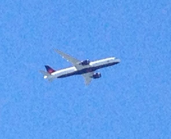 Boeing 787-9 Dreamliner (C-FRSR) - Just an iPhone pic of the AC 787 in the new livery on its delivery flight to YYZ!!