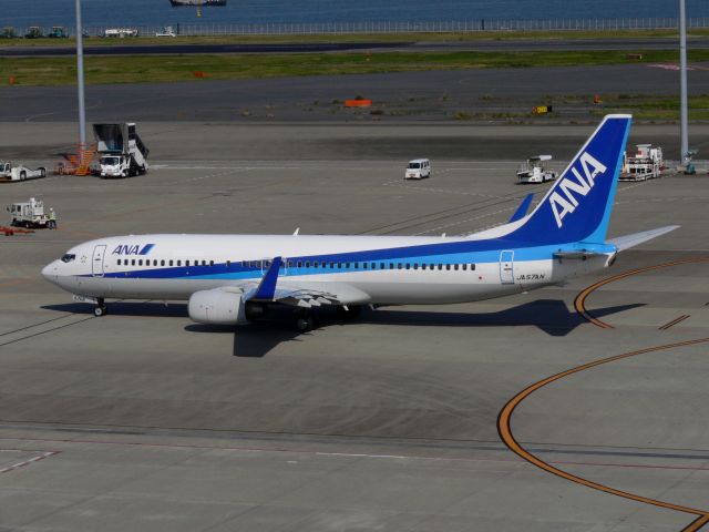 Boeing 737-800 (JA57AN)