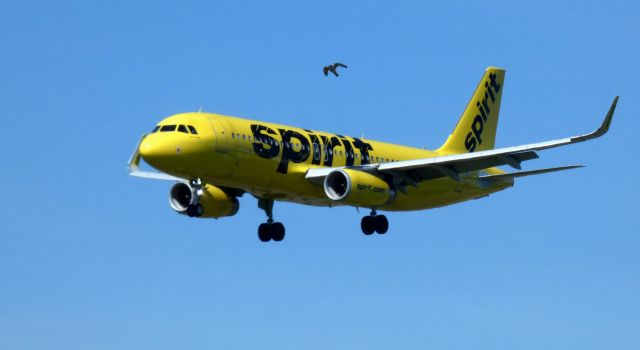 Airbus A320 (N654NK) - On final is this 2018 Spirit Airlines Airbus A320-232 in the Spring of 2021.