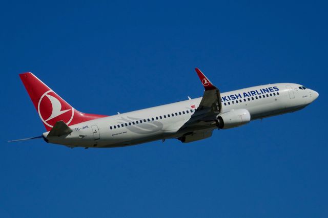 Boeing 737-800 (TC-JHS)