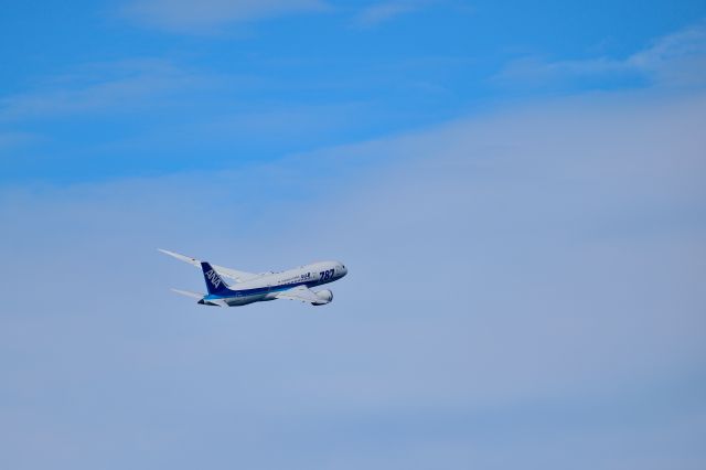 Boeing 787-8 (JA819A)