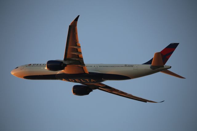 Airbus A330-900 (N408DX)