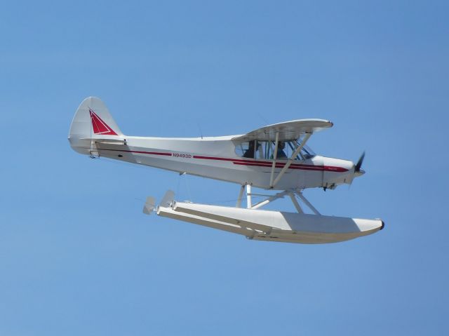 Piper L-21 Super Cub (N9493D) - Flying around Winter Haven, FL quietly back in March 2021 