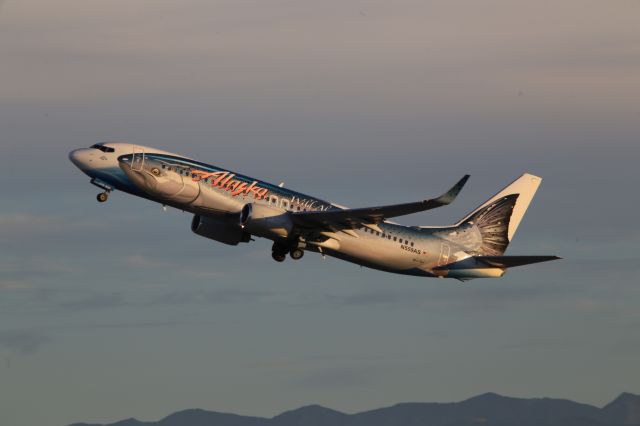 Boeing 737-800 (N559AS)