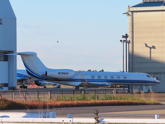 Gulfstream Aerospace Gulfstream V (N709AA) - Photo taken on Nov 25, 2022.