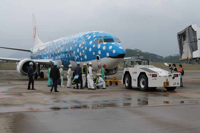 Boeing 737-700 (JA8939) - 新石垣空港実機検証フライト