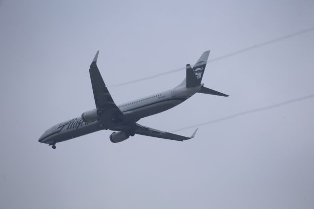 Boeing 737-900 (N319AS)