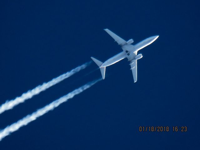 Boeing 737-800 (N813NN)