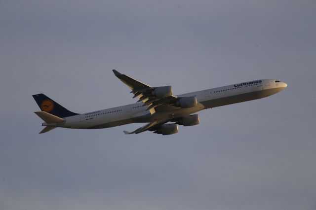 Airbus A340-600 (D-AIHO)