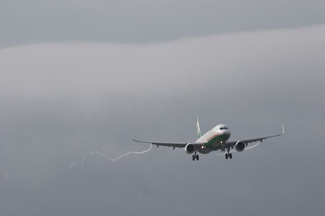 Airbus A321 (B-16208) - 11 April 2015:TPE-HKD.