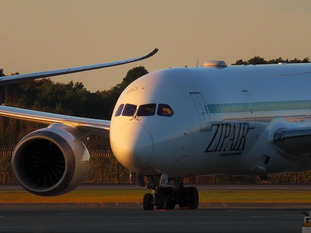 Boeing 787-8 (JA825J) -  I took this picture on Nov 04, 2020.