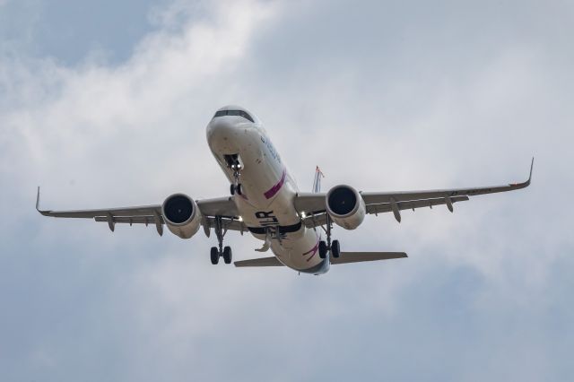 Airbus A321 (D-AVZO)