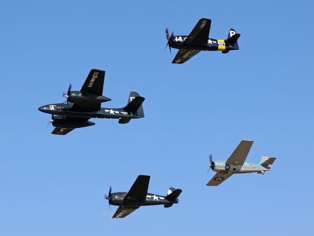 Grumman G-51 Tigercat (N700F) - Flight of the Cats at EAA AirVenture Oshkosh, 27 Jul 2022. Here we have four Grummans including N700F, a 1945 F7F Tigercat dubbed “Here Kitty Kitty”, N14WB, an F8F Bearcat, N9265A an F6F-5 Hellcat “Death N' Destruction”, and N12260, an F4F Wildcat.