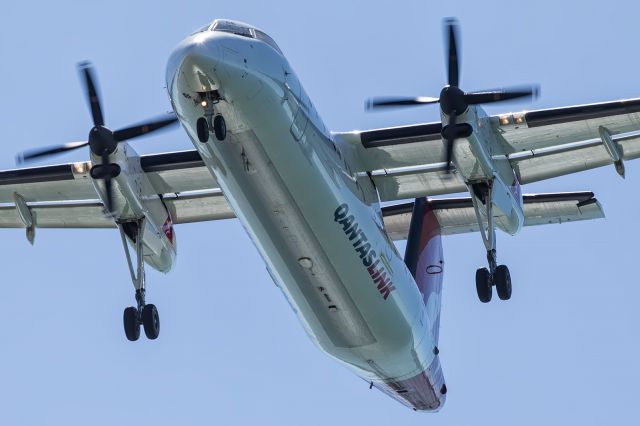 — — - The QANTASLINK, DASH 300, on approach to runway 19.