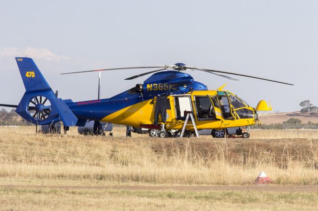 VOUGHT SA-366 Panther 800 (N365JL) - McDermott Aviation Heli-Lift Australia (N365JL) Aerospatiale AS-365N-2 Dauphin 2 at Wagga Wagga Airport.