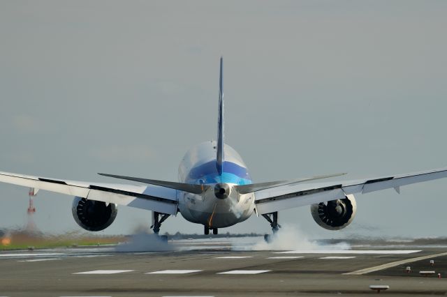 Boeing 787-8 (JA812A)