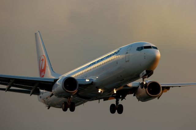 Boeing 737-800 (JA346J)