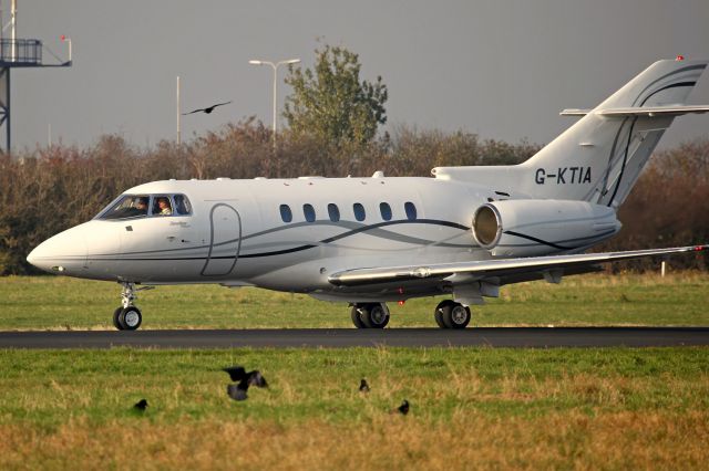 Hawker 800 (G-KTIA) - AT OR AROUND AN AIRPORT MOST OF THE BIRDS ARE NOT OUR FRIENDS. THE AUTORITIES OF EHBK WORK HARD TO PREVENT (bird)ACCIDENTS.