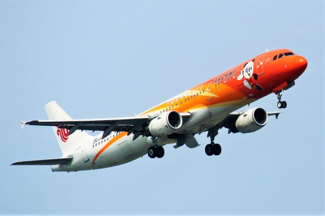 Airbus A321 (B-6361) - Beautiful Sichuan livery. Pandas are cute;)br /TIPS: Select full-size and wait for a while for better view.