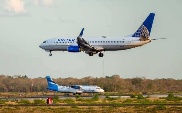 Boeing 737-800 (N11206) - landing at rwy 10