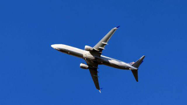 Boeing 737-900 (N69813)