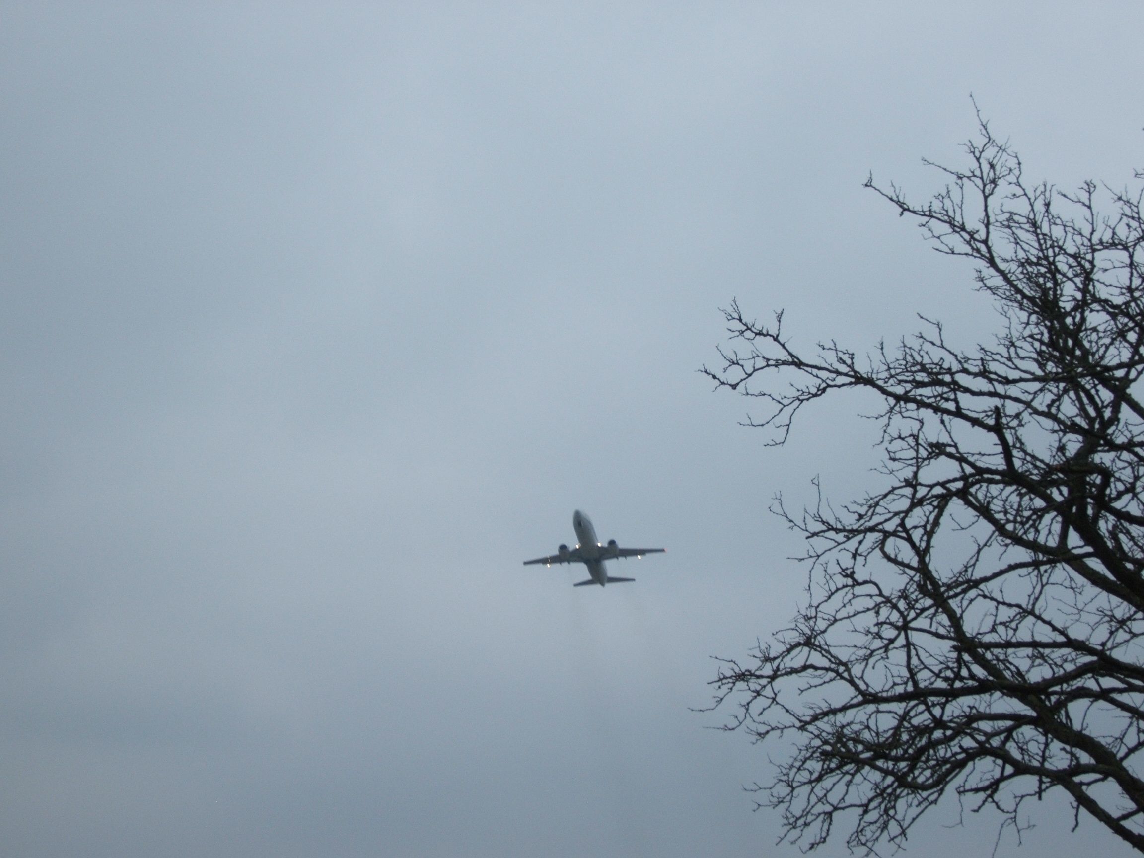 BOEING 737-400 (N802TJ) - This is flight SWQ802 Moments after takeoff from runway 3R and KLUK. Taken from the golf course at the end of the runwaybr /br /Taken 02/02/2014