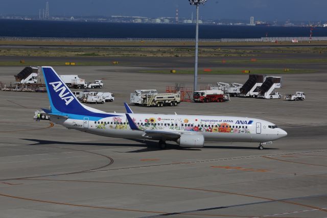 Boeing 737-800 (JA85AN)