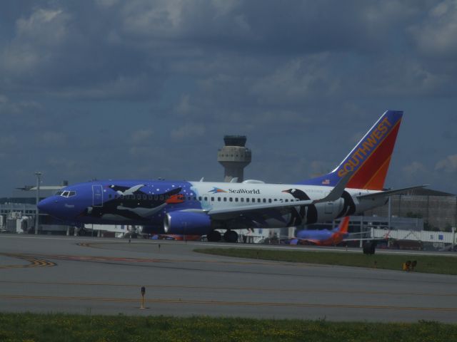 Boeing 737-700 (N280WN) - New logojet arrived this morning "Penguin One" is her name. Came out of the paint shop less than a week ago, according to the pilot, when asked by the tower controller about the livery.