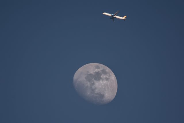 Airbus A321 (SE-RDO)