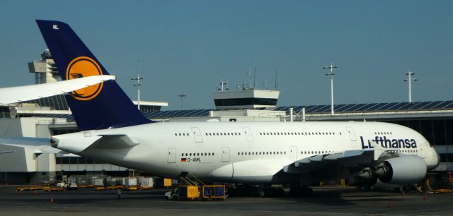 Airbus A380-800 (D-AIML)