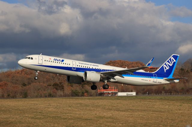 Airbus A321neo (JA133A) - November 19, 2022:HKD-ITM.