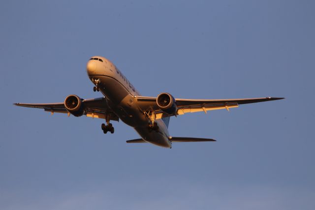 Boeing 787-9 Dreamliner (N23983)